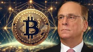 Larry Fink Crypto Investment for the future